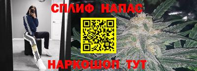 сатива Обь