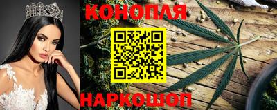СК Нягань