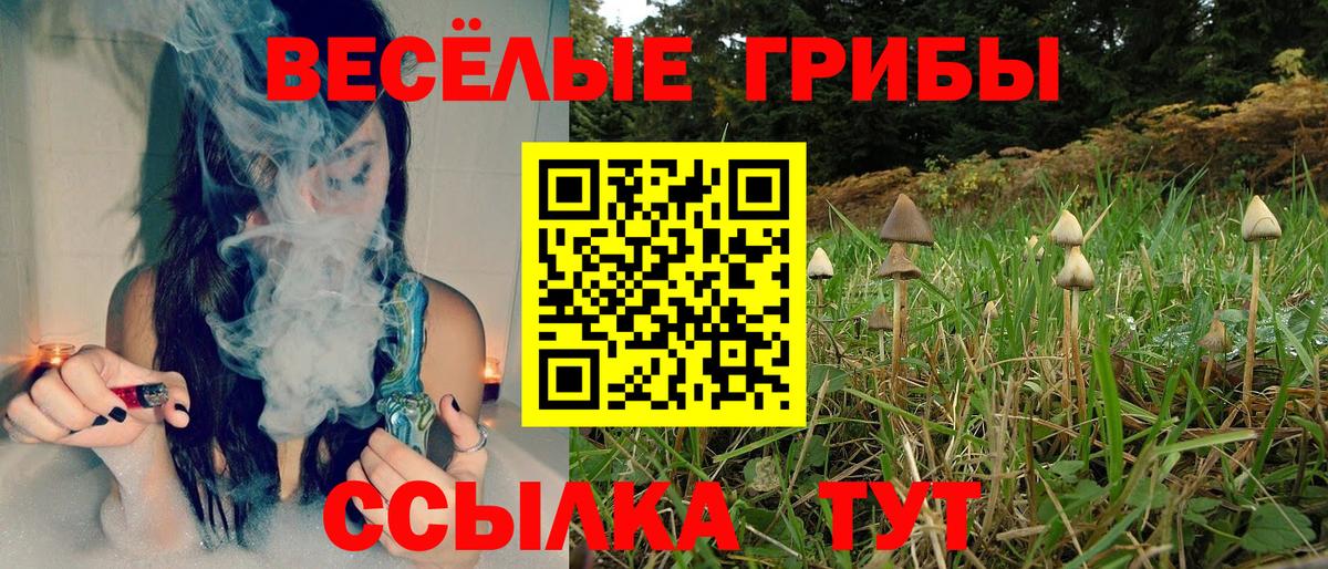 Галлюциногенные грибы Psilocybine cubensis  Вход с VPN  Семёнов  Галлюциногенные грибы мицелий 